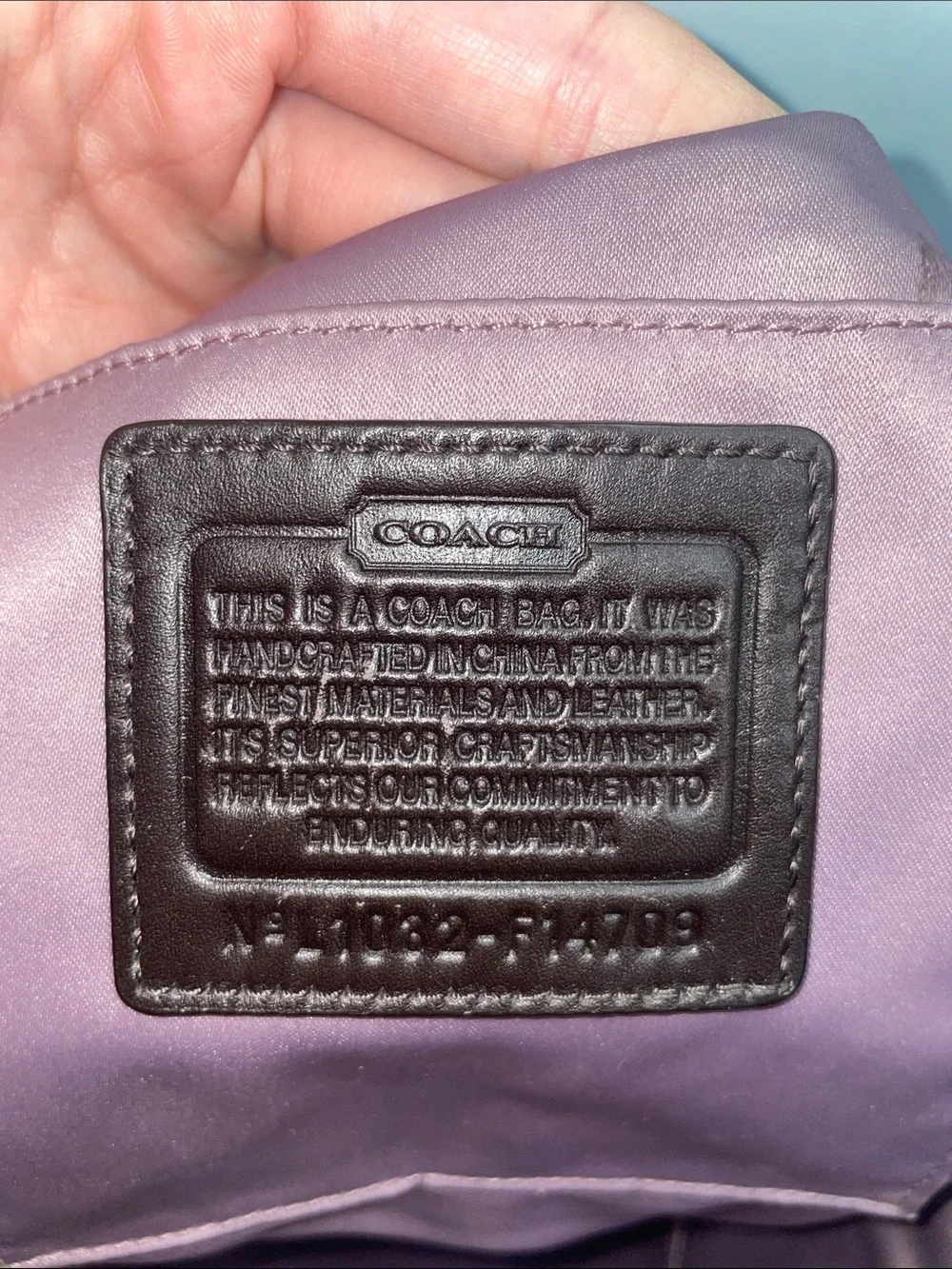 Coach ‘Zoe’ Large Hobo